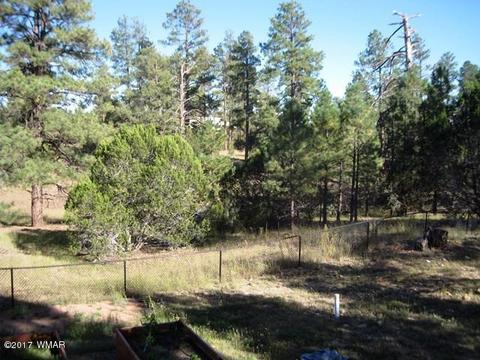 2967 Valley Frg, Overgaard, AZ 85933 photo 42