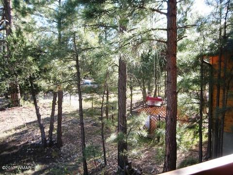 2967 Valley Frg, Overgaard, AZ 85933 photo 43