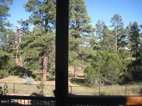 2967 Valley Frg, Overgaard, AZ 85933 photo 41