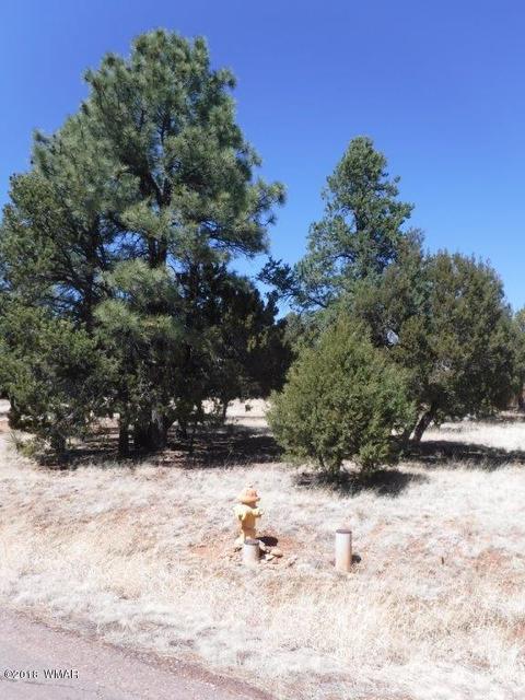 2744 Kittyhawk Ln, Overgaard, AZ 85933 photo 2