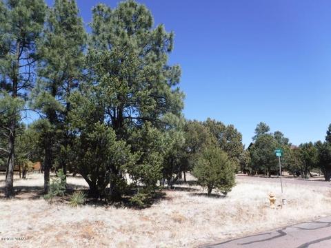 2744 Kittyhawk Ln, Overgaard, AZ 85933 photo 3