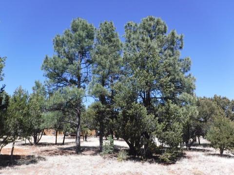 2744 Kittyhawk Ln, Overgaard, AZ 85933 photo 6