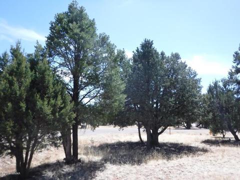 2744 Kittyhawk Ln, Overgaard, AZ 85933 photo 8