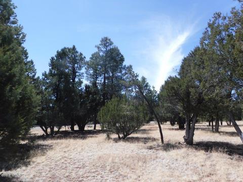 2744 Kittyhawk Ln, Overgaard, AZ 85933 photo 1