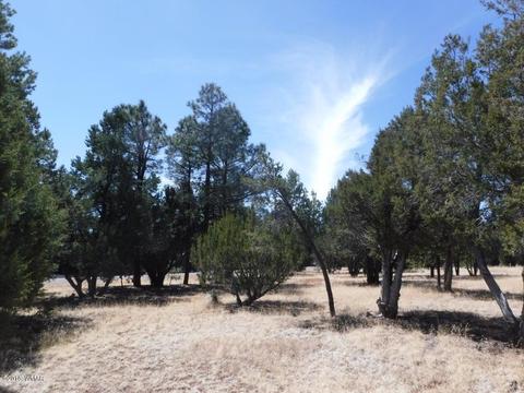 2744 Kittyhawk Ln, Overgaard, AZ 85933 photo 7