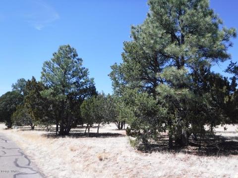 2744 Kittyhawk Ln, Overgaard, AZ 85933 photo 5