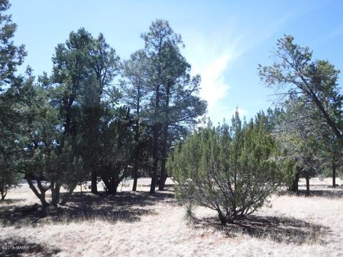 2744 Kittyhawk Ln, Overgaard, AZ 85933 photo 4