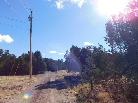 3231 Alkire Rd, Overgaard, AZ 85933 photo 10