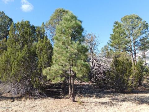 3231 Alkire Rd, Overgaard, AZ 85933 photo 7
