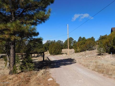 3231 Alkire Rd, Overgaard, AZ 85933 photo 9