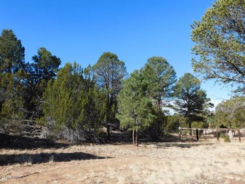 3231 Alkire Rd, Overgaard, AZ 85933 photo 6