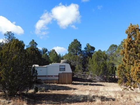 3231 Alkire Rd, Overgaard, AZ 85933 photo 3