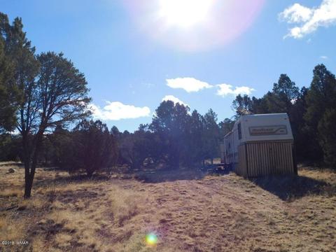 3231 Alkire Rd, Overgaard, AZ 85933 photo 8