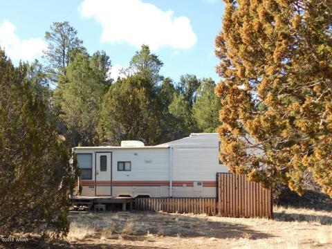 3231 Alkire Rd, Overgaard, AZ 85933 photo 2
