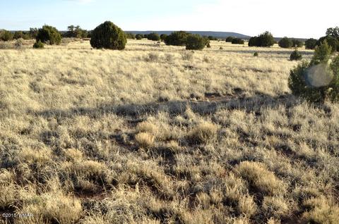 9785 Hansa Trl, Snowflake, AZ 85937 photo 7