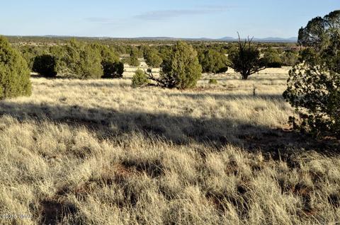 9785 Hansa Trl, Snowflake, AZ 85937 photo 13