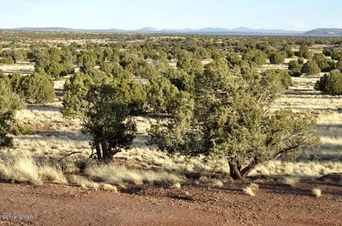 9785 Hansa Trl, Snowflake, AZ 85937 photo 2