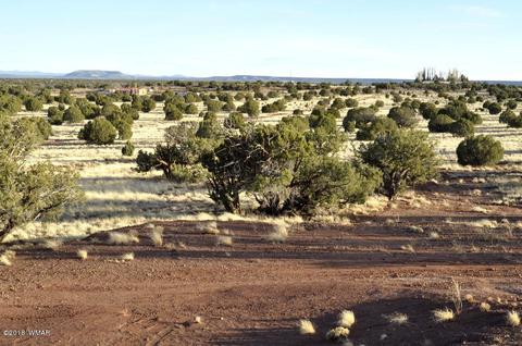 9785 Hansa Trl, Snowflake, AZ 85937 photo 16
