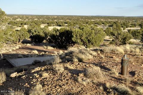 9785 Hansa Trl, Snowflake, AZ 85937 photo 1