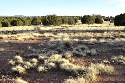 9785 Hansa Trl, Snowflake, AZ 85937 photo 5