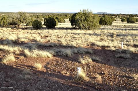 9785 Hansa Trl, Snowflake, AZ 85937 photo 6