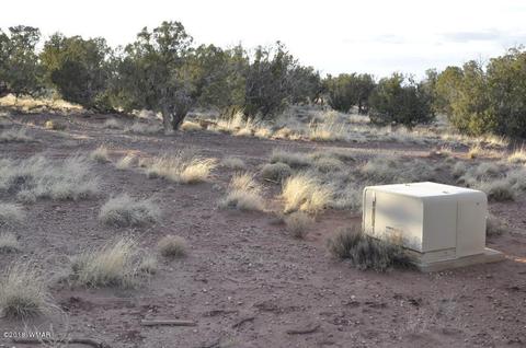 9785 Hansa Trl, Snowflake, AZ 85937 photo 4