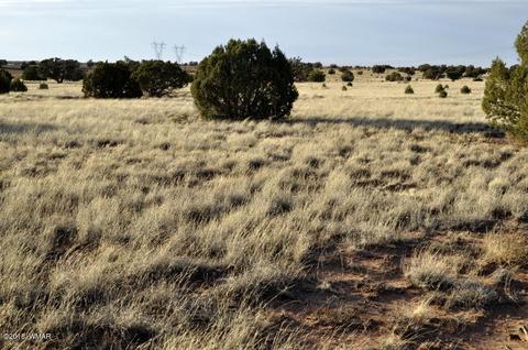 9785 Hansa Trl, Snowflake, AZ 85937 photo 14