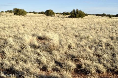 9785 Hansa Trl, Snowflake, AZ 85937 photo 12