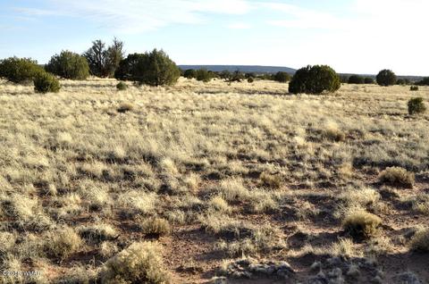 9785 Hansa Trl, Snowflake, AZ 85937 photo 10