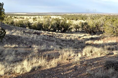 9785 Hansa Trl, Snowflake, AZ 85937 photo 15