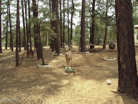 2800 Mogollon Dr, Overgaard, AZ 85933 photo 7