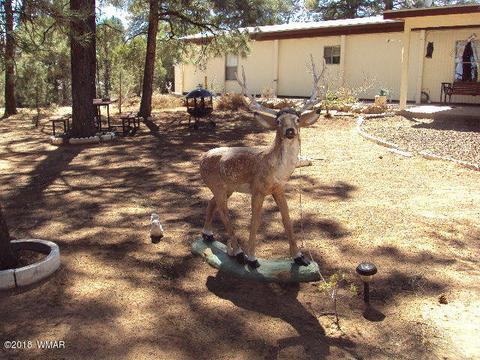 2800 Mogollon Dr, Overgaard, AZ 85933 photo 6