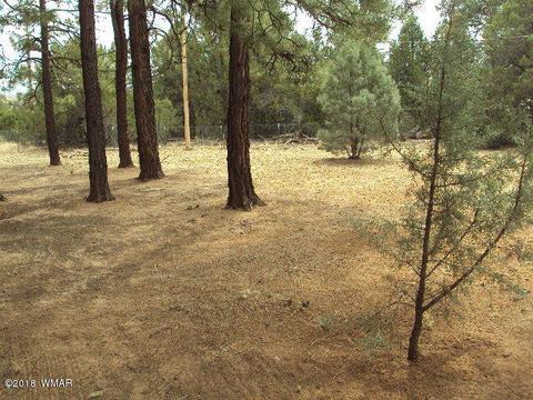 2800 Mogollon Dr, Overgaard, AZ 85933 photo 12