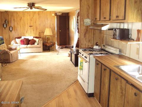 2800 Mogollon Dr, Overgaard, AZ 85933 photo 22