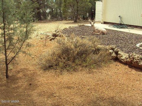 2800 Mogollon Dr, Overgaard, AZ 85933 photo 11