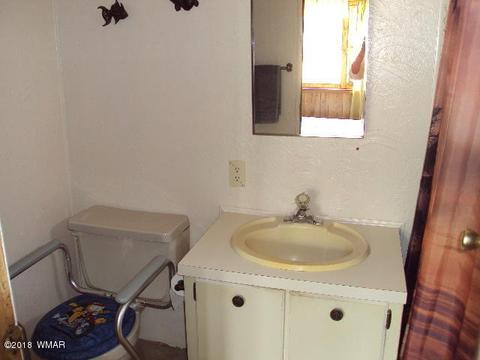 2800 Mogollon Dr, Overgaard, AZ 85933 photo 30