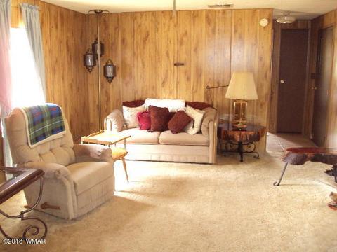 2800 Mogollon Dr, Overgaard, AZ 85933 photo 21