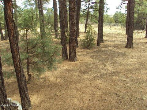 2800 Mogollon Dr, Overgaard, AZ 85933 photo 13