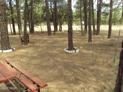 2800 Mogollon Dr, Overgaard, AZ 85933 photo 14
