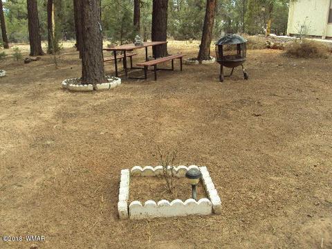 2800 Mogollon Dr, Overgaard, AZ 85933 photo 8