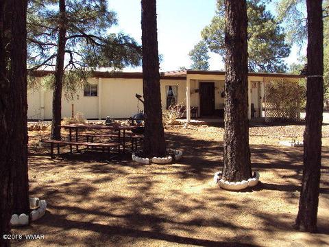 2800 Mogollon Dr, Overgaard, AZ 85933 photo 4