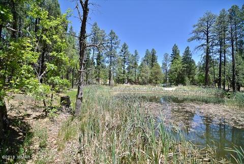1940 E Mt Lodge Dr, Show Low, AZ 85901 photo 13
