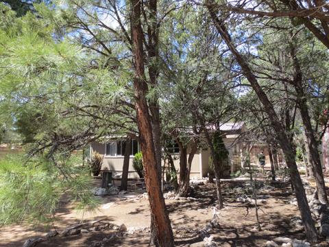 2178 Western Star Dr, Overgaard, AZ 85933 photo 5