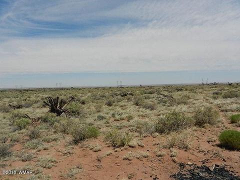 8376 E Juniper Berry Trl, Snowflake, AZ 85937 photo 3