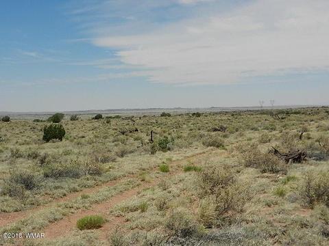 8376 E Juniper Berry Trl, Snowflake, AZ 85937 photo 2