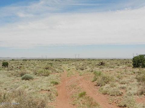 8376 E Juniper Berry Trl, Snowflake, AZ 85937 photo 7