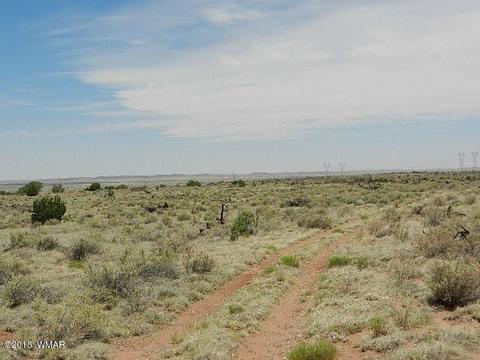 8376 E Juniper Berry Trl, Snowflake, AZ 85937 photo 4