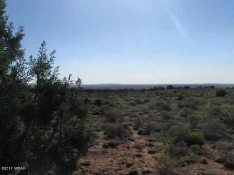 8376 E Juniper Berry Trl, Snowflake, AZ 85937 photo 8