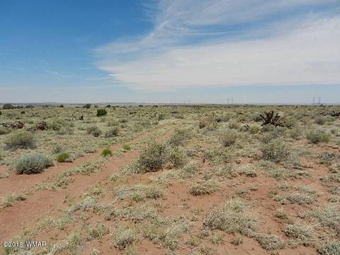 8376 E Juniper Berry Trl, Snowflake, AZ 85937 photo 1