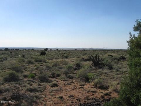 8376 E Juniper Berry Trl, Snowflake, AZ 85937 photo 9